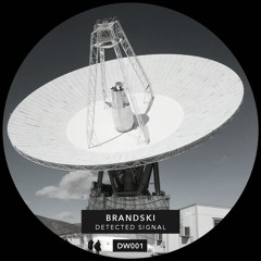 Brandski - Detected Signal EP [DW001]