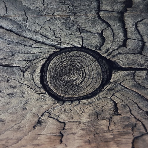 Trester & Zackenbarsch - Des Schneiders Helfer @ Klangplanet (Feb 18)