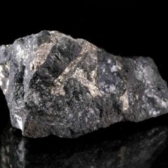 Platinum- ShoeGang //Dane & Ro'Lifa Taylor