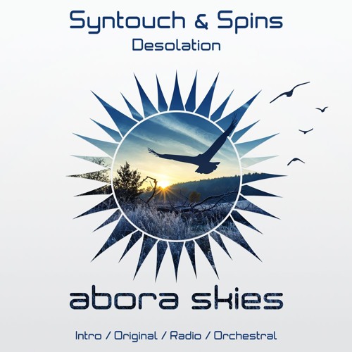 Syntouch & Spins - Desolation (Intro Mix)