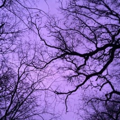 stIlo -  фиолетовое небо