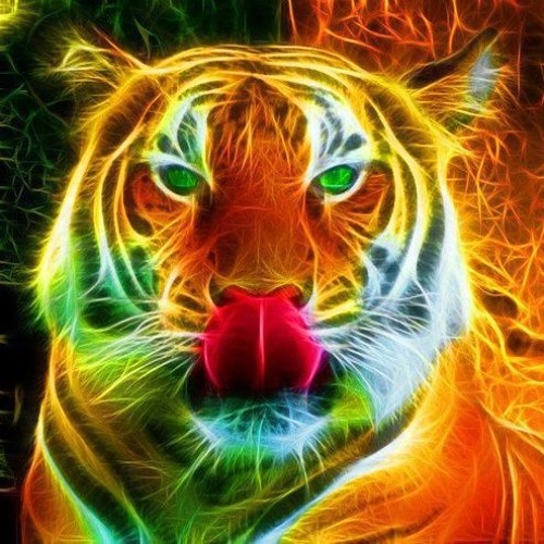 No Fear:Better Mashup (Phil Aide, CloZee) #2