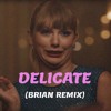 Taylor Swift Delicate Brian Remix Mp3