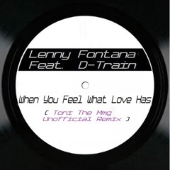 Lenny Fontana Feat. D - Train - When You Feel What Love Has ( Toni The Mmg Unofficial Remix  )