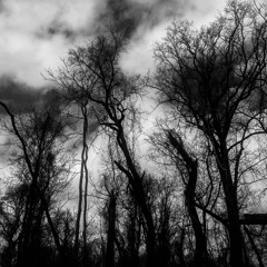 Ajna & Dödsapparaten - Seasons Of Malaise (See Description)
