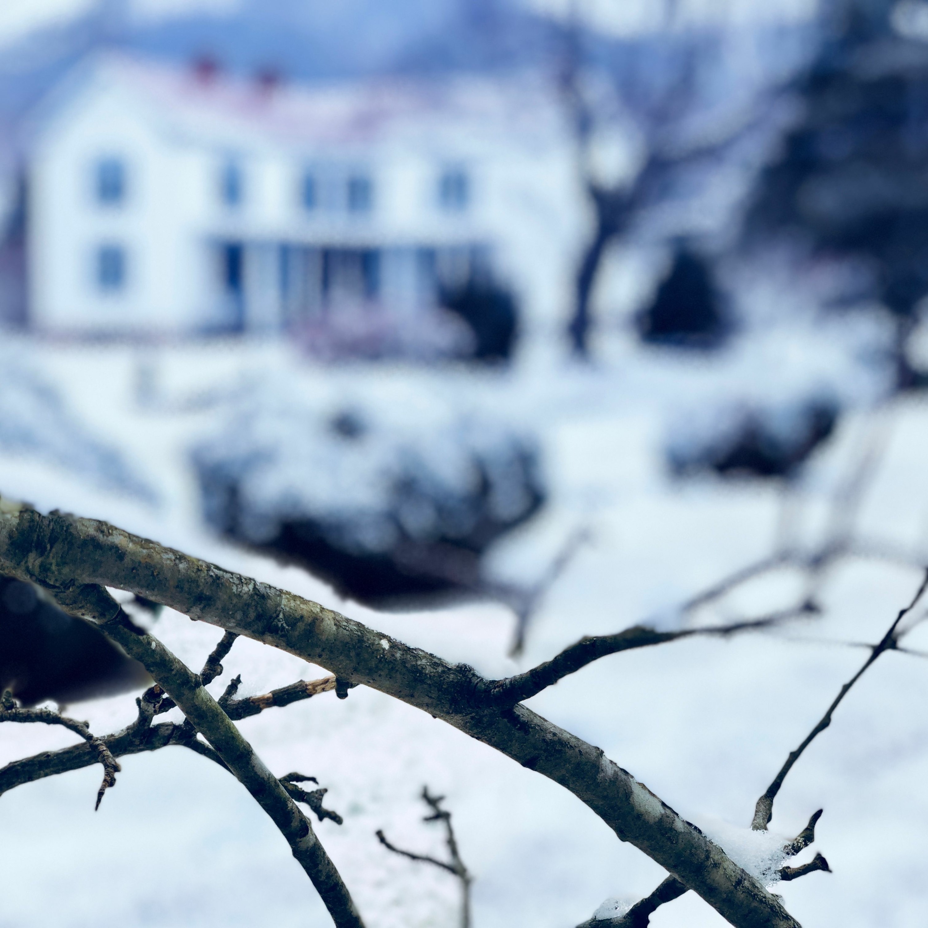 Wednesday : 2.21.18 : WINTER STORM WARNING : Significant Snow Expected : Becerra Lawncare Update episode artwork