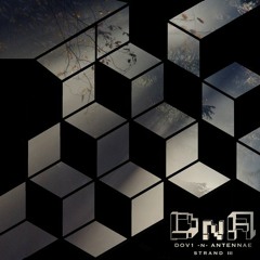 DnA (Dov1 & An-ten-nae) - Our Way