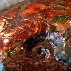 Ammolite