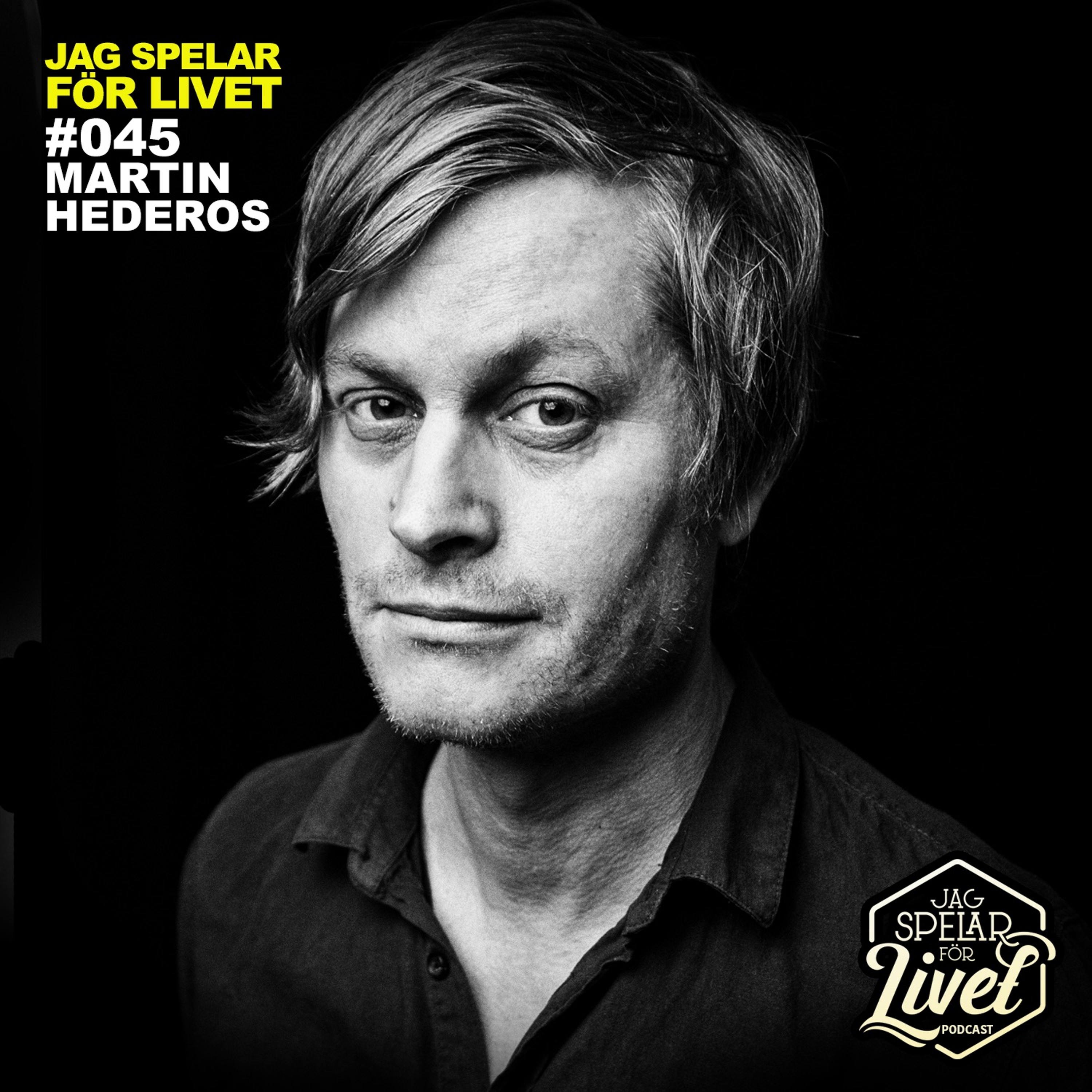 Jag Spelar för Livet - Musiker om Musik