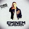 Eminem The Real Slim Shady Chris Ultranova Remix Mp3