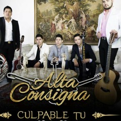 Los Ninis-Alta consigna