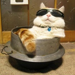 lo[fi] quality playlist