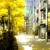 Artwork for 박기영(Park Ki Young) - 산책(Stroll)