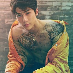 SEHUN 'GO' [The ElyXion Solo Stage] - AUDIO HQ