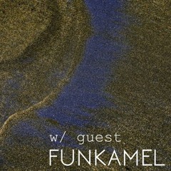 Related tracks: Funkamel Set for Wabi Sabi