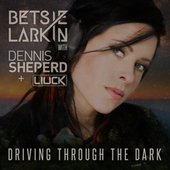 Betsie Larkin With Dennis Sheperd & Liuck - Driving Through The Dark (Extended Mix)