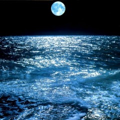 Tupsutoukkakehrääjä