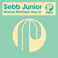 Sebb Junior - I Heard You Calling (Art Of Tones Remix)