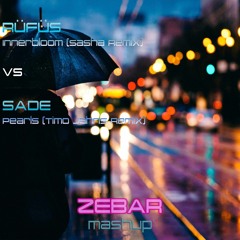 Sasha Vs Timo Jahns - Inner Pearls (Zebar Mashup)
