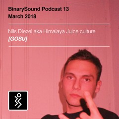 BinarySound #13 | Nils Diezel aka Himalaya Juice Culture [GOSU]