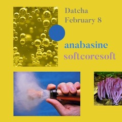 softcoresoft b2b anabasine @ Datcha