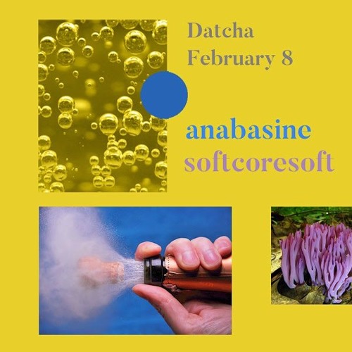 softcoresoft b2b anabasine @ Datcha