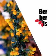 BRS 187 Juzz - Solaris (Original Mix) preview