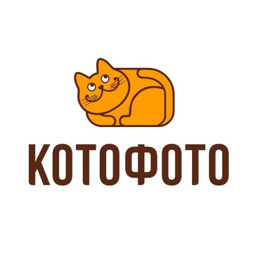 Котофото Интернет Магазин Ростов На Дону Каталог