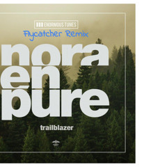 Nora En Pure - Trailblazer (Flycatcher Remix)