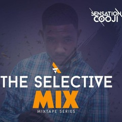THE  SELECTIVE MIX EPISODE 029