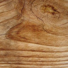 Miniatures For Bass Clarinet