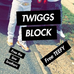 MoodaTugunz - Impatient( Twiggs Block)