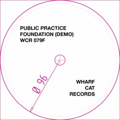 Public Practice - Foundation (Demo) - from the RSD version of our ACLU 2XLP plus flexi-disc)