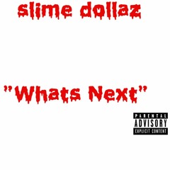 SLIME DOLLAZ - WHAT'S NEXT(Prod.Radbeats)