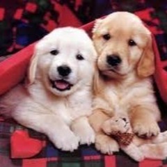 The Beatdown - Millennial Foreplay