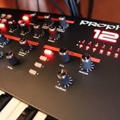 Prophet 12 Compilation