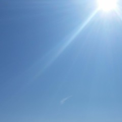 PLEAD STAY THEME SOUNDTRACK