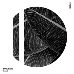 Saive & Kleiber - Alya (Original Mix)