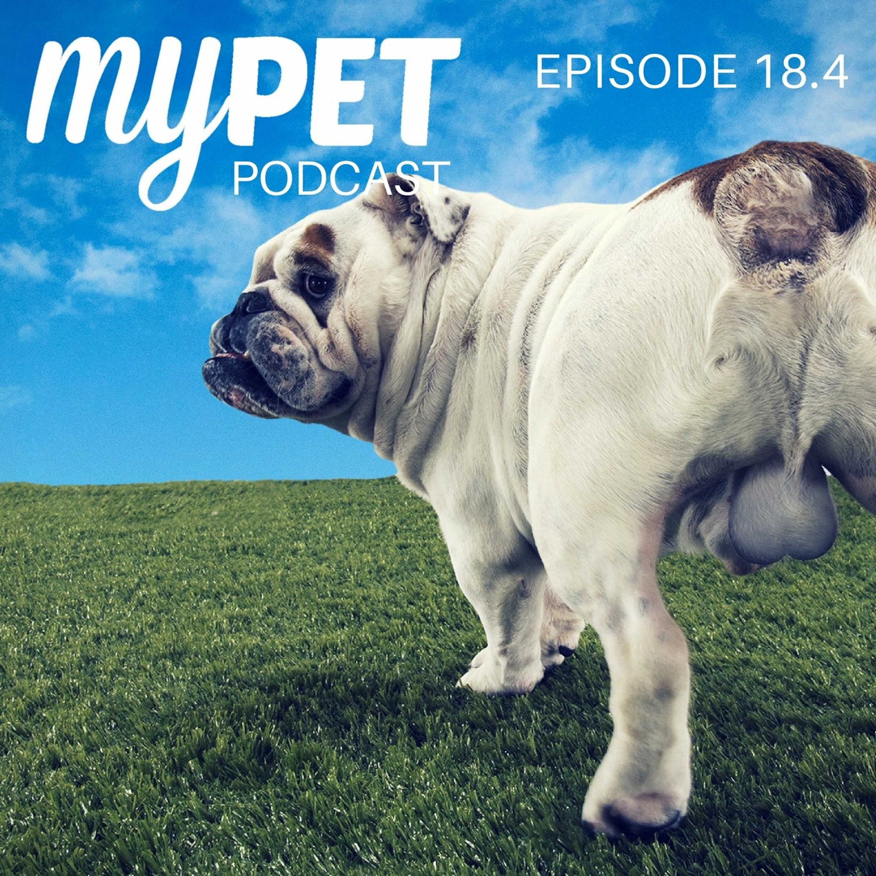 Desexing Your Pet = Responsible Pet Ownership episode artwork