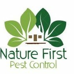 Pest Control Portland On Carpenter Ants Part 1