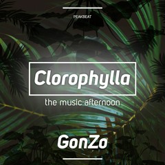 Gonzo@Clorophylla