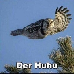 Trödel, Tand und Tinder (41)