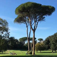 Funghus III Who Came In Peace