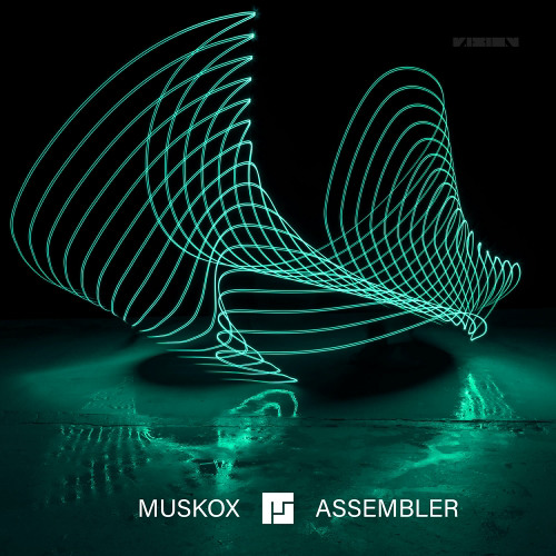 Muskox (OUT  NOW)
