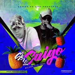 Si Le Caigo - Bvlgari Ft. El Tachi  ( Prod. Combo De Oro )