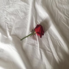 Fake Friends (ft Cassoville)