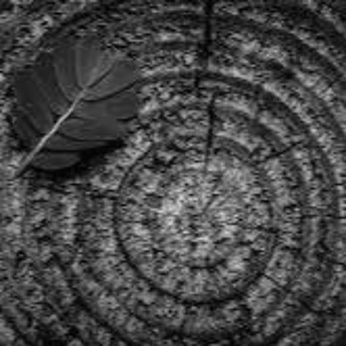 Symphonie Of Crying Machines Live