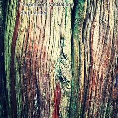 Meditation #4 | Ambient Music | Paul Landry | The Ambient Meditations