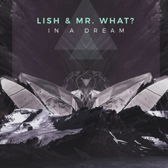 Lish & Mr. What? - In A Dream