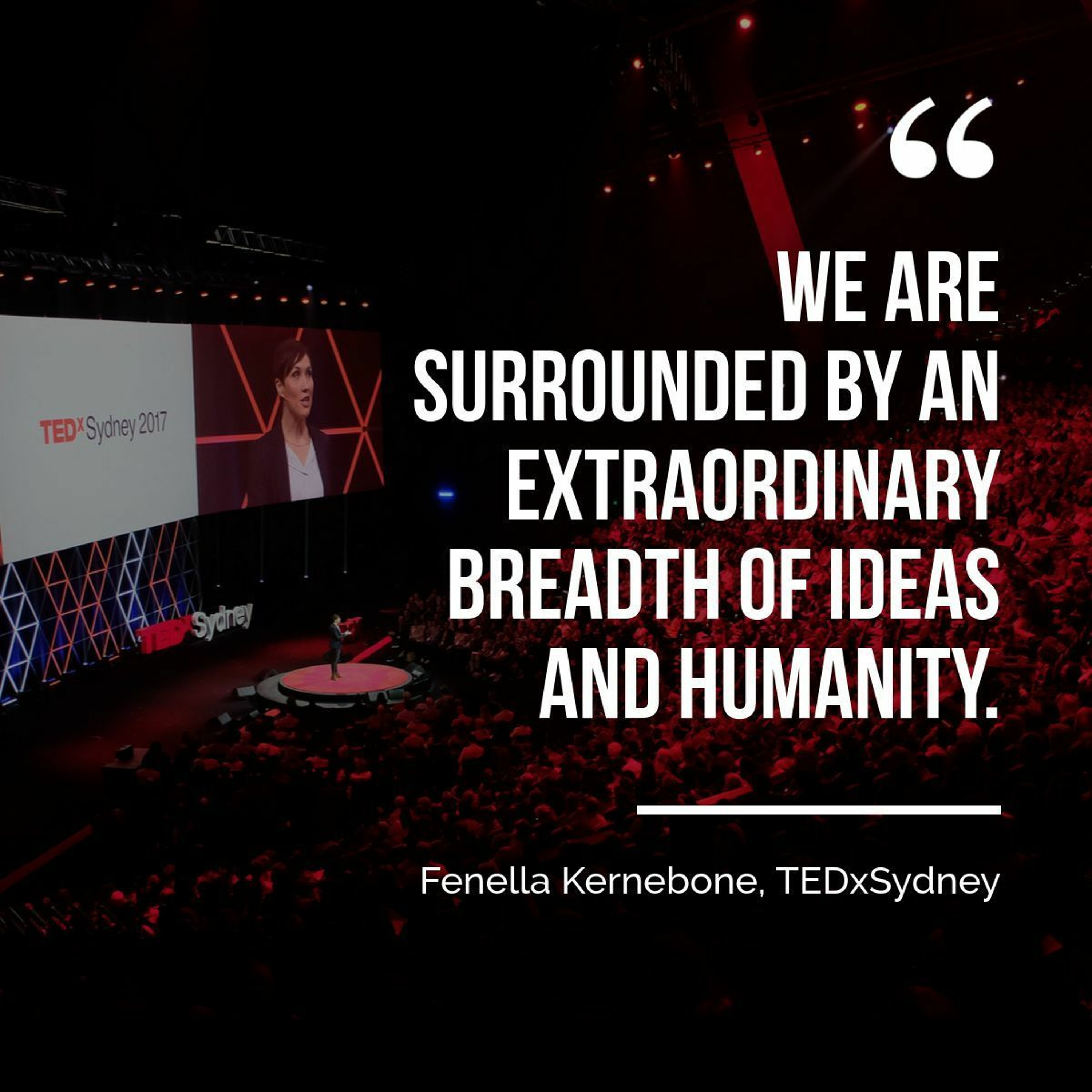 TEDx Sydney Fenella Kernebone Head of Curation